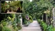 Game of Thrones King's Landing Garden